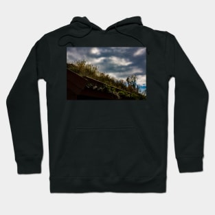 My Garden My Roof Hoodie